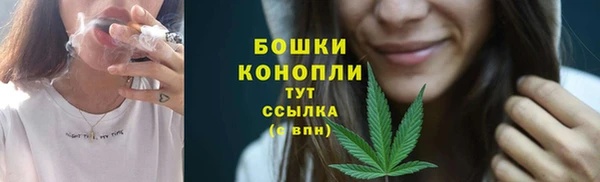 шишки Киренск