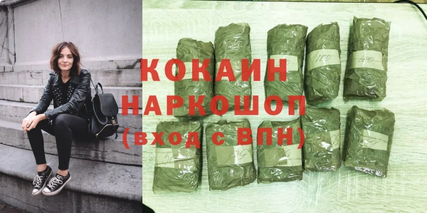 шишки Киренск