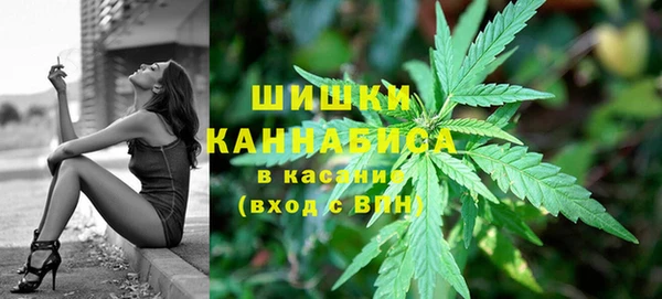 шишки Киренск