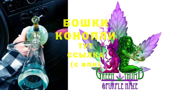 шишки Киренск