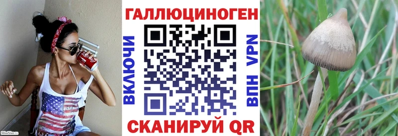 Купить  Балашов  Галлюциногенные грибы прущие грибы 